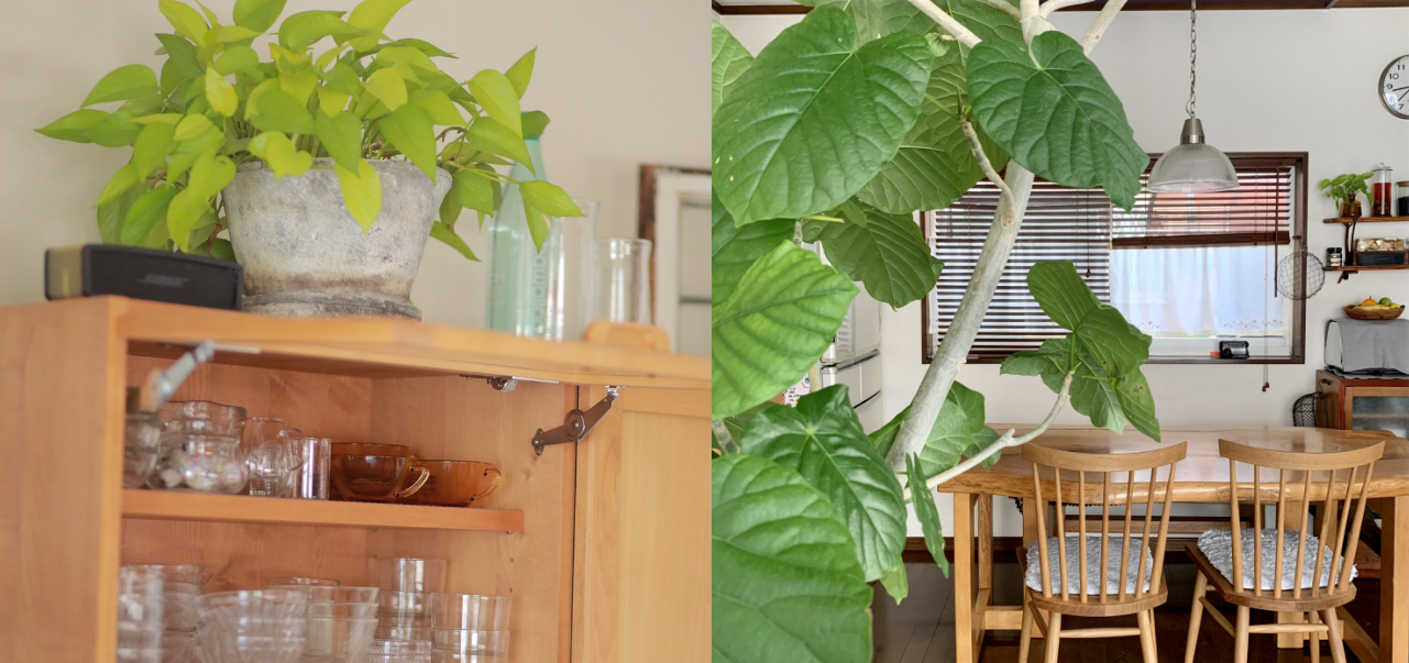 くつろぎリビング234